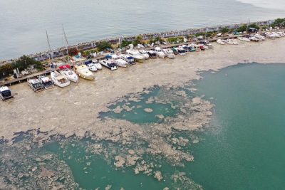 Экологическая катастрофа: опасная слизь покрыла Мраморное море и угрожает Черному