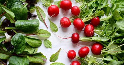 Защищает от рака и старения: диетолог объяснил, как правильно есть редис