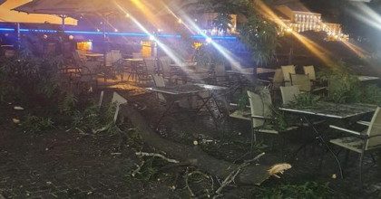 Ничто не предвещало: в Ужгороде на террасу кафе свалилась огромная ветка