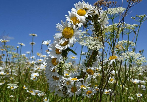 З Днем молоді – яскраві привітання: листівки та побажання