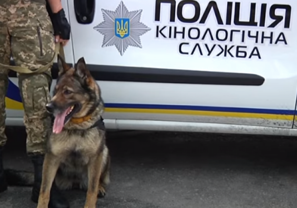 Дівчинку шукали п'ять днів та знайшли тіло: у Нікополі сталася трагедія