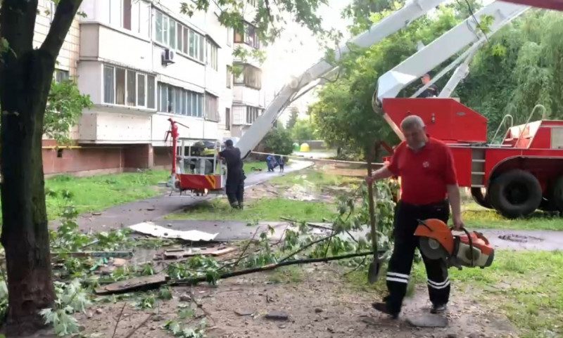 У Києві з балкона обірвалася дідусева "тепличка" з розсадою