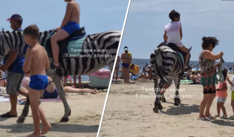 "Это кошмар": в Скадовске лошадь "превратили" в зебру и катали на ней отдыхающих