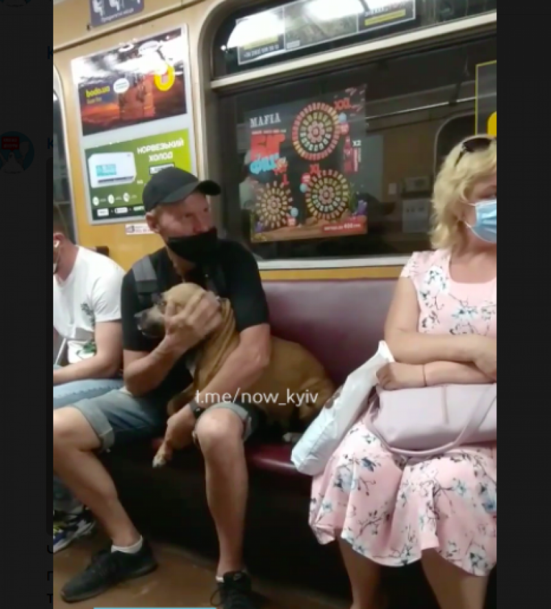 У метро Києва чоловік віз бійцівського собаку без намордника