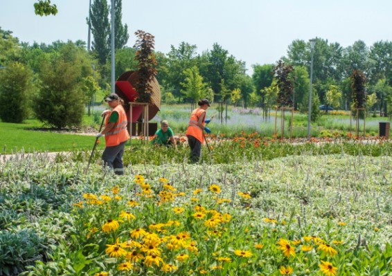 'Метинвест' направил более 50 миллионов на реконструкцию парка в Мариуполе 'Метинвест' направил более 50 миллионов на реконструкцию парка в Мариуполе