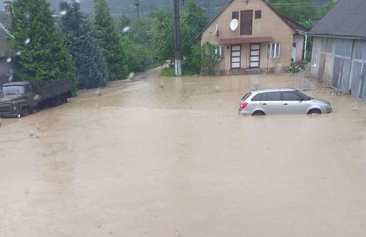 Воды по пояс и плавающие машины: дожди на Закарпатье превратили несколько  сел в реки - Главред