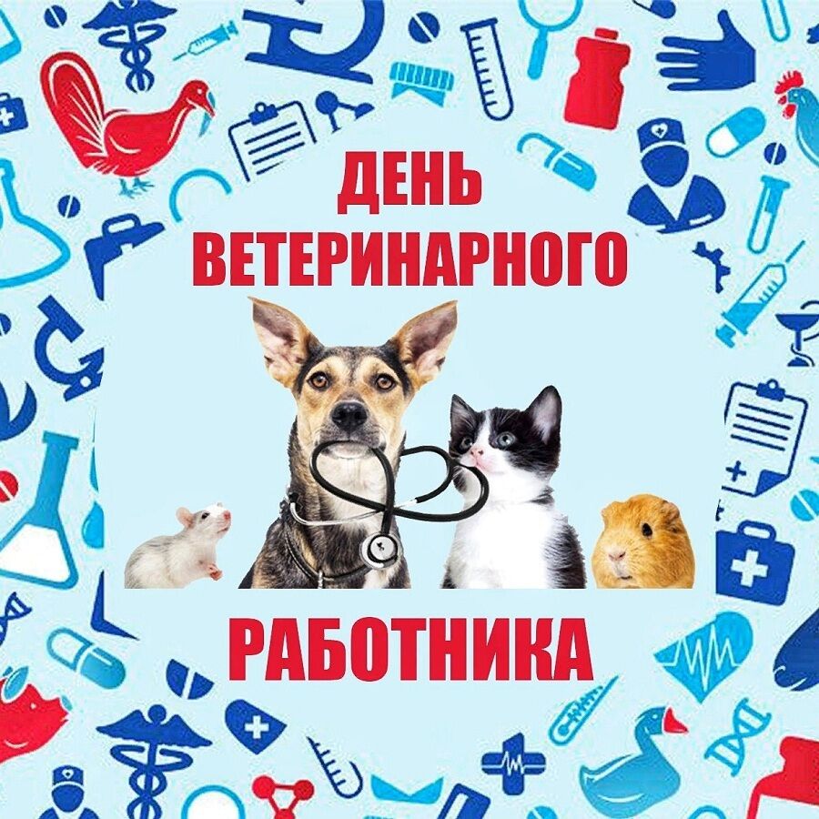 Международный день ветеринарного врача картинки