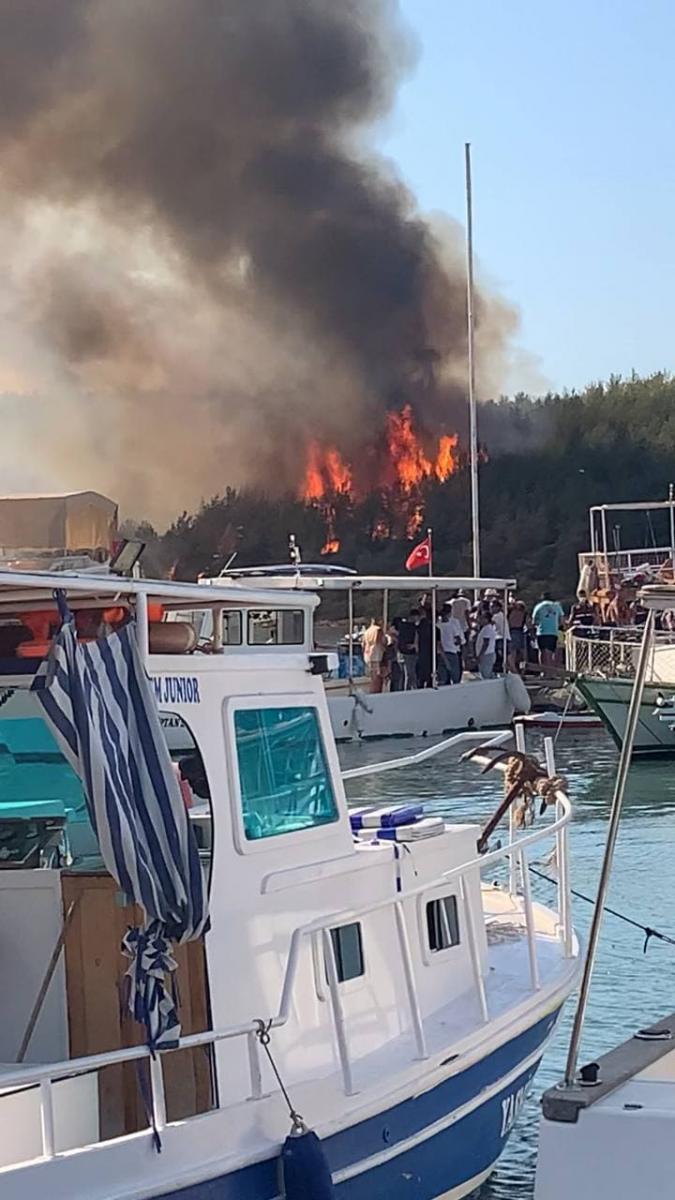 1627569952-3323.jpg 1627569952-3323.jpg