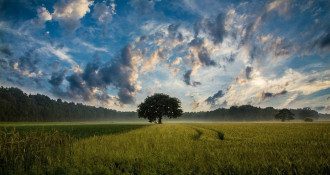 Приметы
