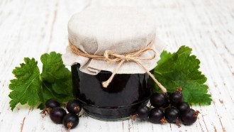 Варенье из черной смородины