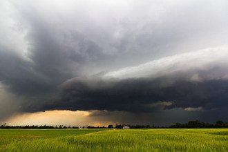 Погода