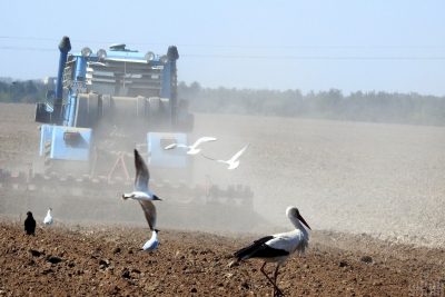 Рейдерство захоплює Україну: щодня відбувається 2 атаки на майно законних розпорядників Рейдерство захоплює Україну: щодня відбувається 2 атаки на майно законних розпорядників
