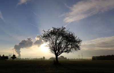 Експерт розповів, коли з'являться технології, які дозволять повністю виключити викиди СО2 Експерт розповів, коли з'являться технології, які дозволять повністю виключити викиди СО2