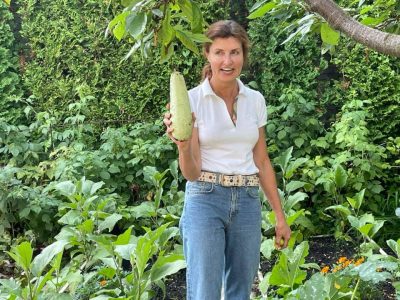 Кабачки, порошенко Кабачки, порошенко