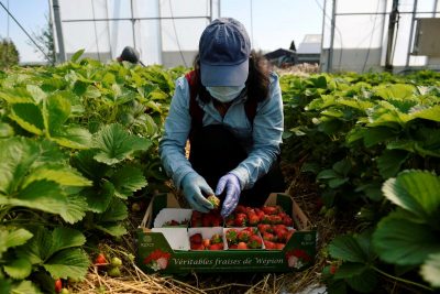 Страны ЕС все более нацелены на трудоустройство своих граждан - эксперты Страны ЕС все более нацелены на трудоустройство своих граждан - эксперты