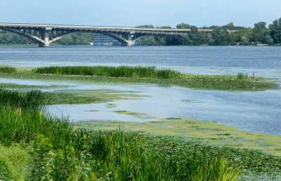 Екорейдерство в Україні набирає загрозливих масштабів - експерти