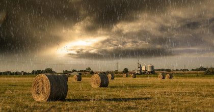 Зальет дождями и разжарит по максимуму: украинцев предупредили об аномальном лете