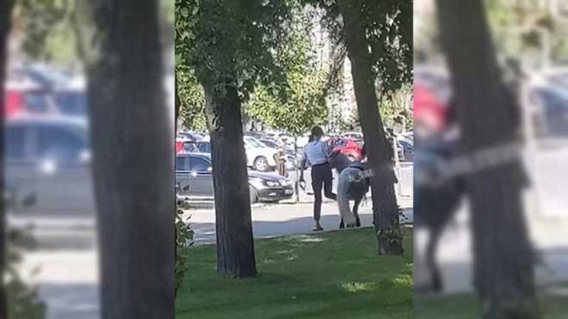 Малолетние живодеры в Харькове били ногами пони, который катает людей