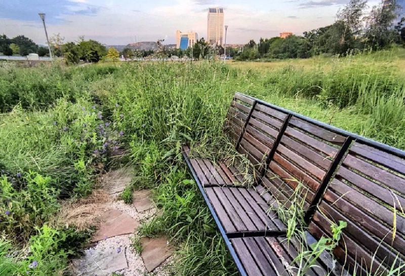 "Дякую, Росія!" Журналіст показав фото бур'янів і розрухи на Донбас-Арені у Донецьку