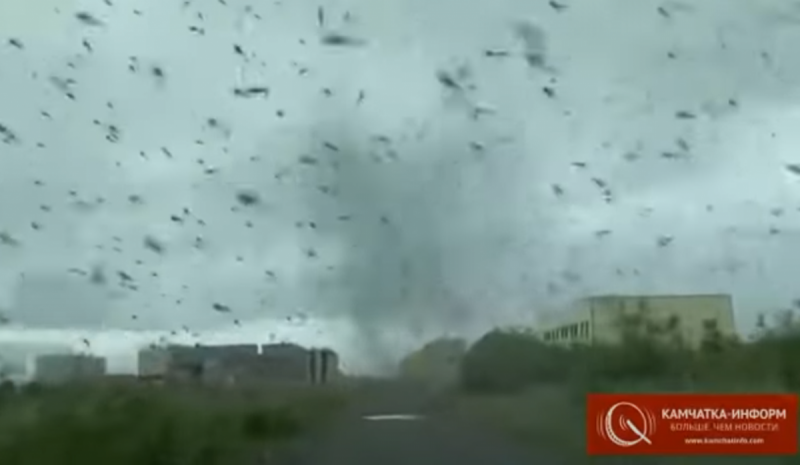 Миллионы комаров заполонили небо: в России пронесся огромный смерч из кровососущих насекомых