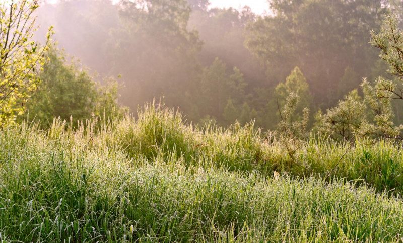 В Україні різко зміниться погода і прийде нова небезпека