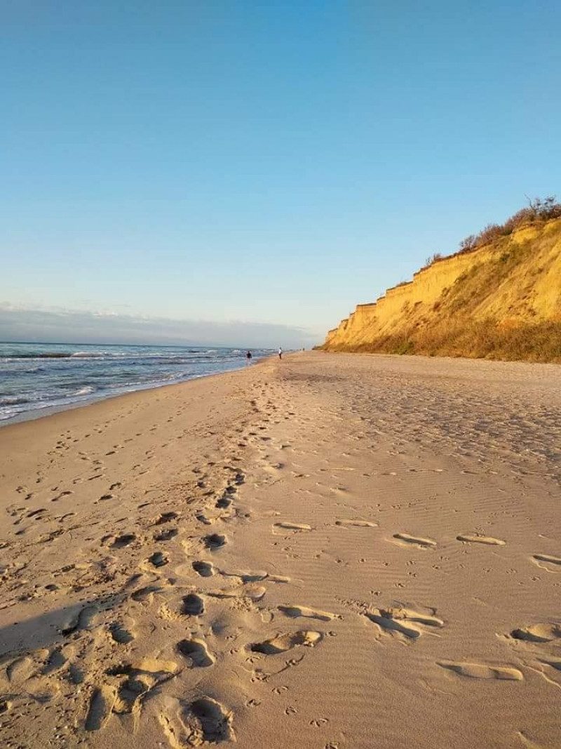 "Отпуск удался": в Сети похвастались чистыми украинскими пляжами