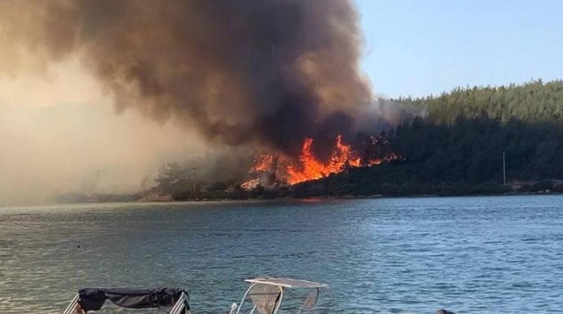 У Эрдогана бьют тревогу из-за масштабных лесных пожаров в Турции