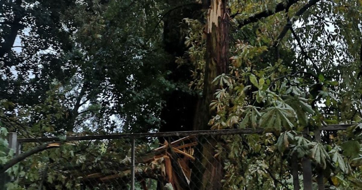 Летали крыши и уничтожило урожай: в Ровенской области непогода наделала беды