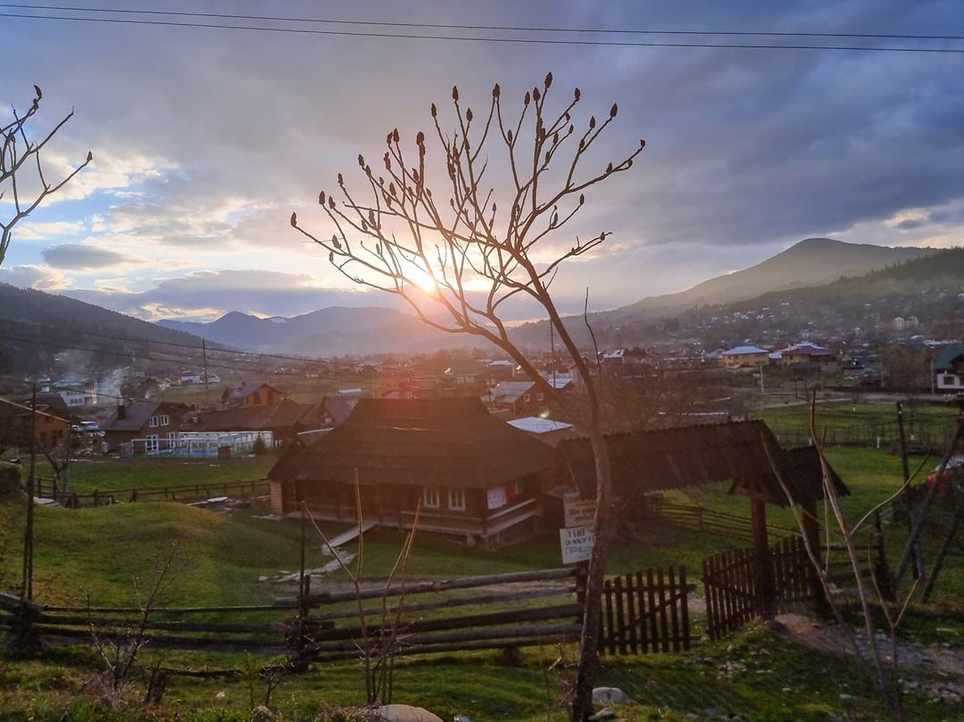 'Я поселился': Дмитрий Комаров купил участок в Карпатах 'Я поселился': Дмитрий Комаров купил участок в Карпатах