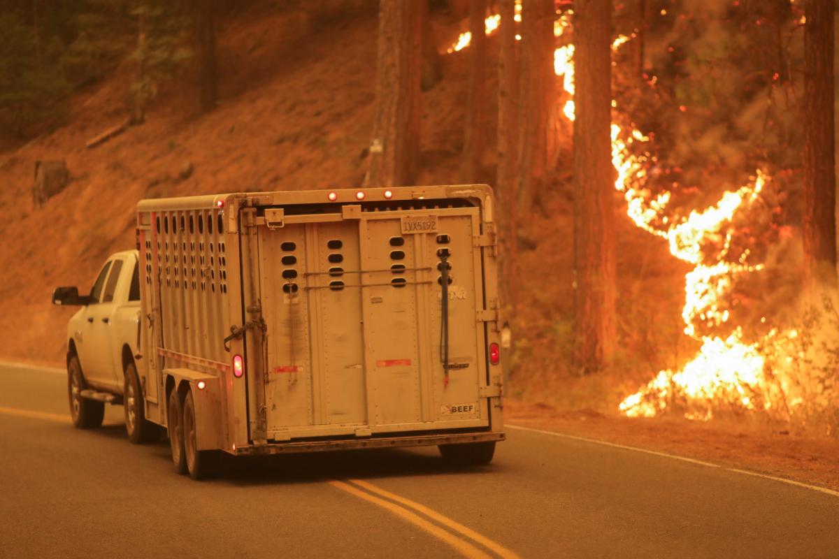 Пожар Дикси в Калифорнии 