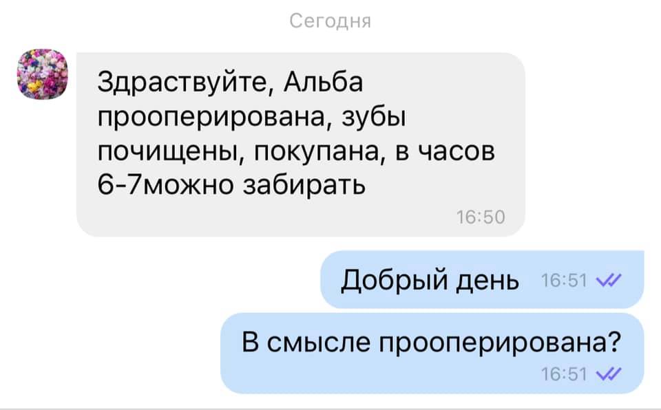 Стерилизация вместо стрижки: в Киеве врачи ветклиники допустили роковую ошибку Стерилизация вместо стрижки: в Киеве врачи ветклиники допустили роковую ошибку