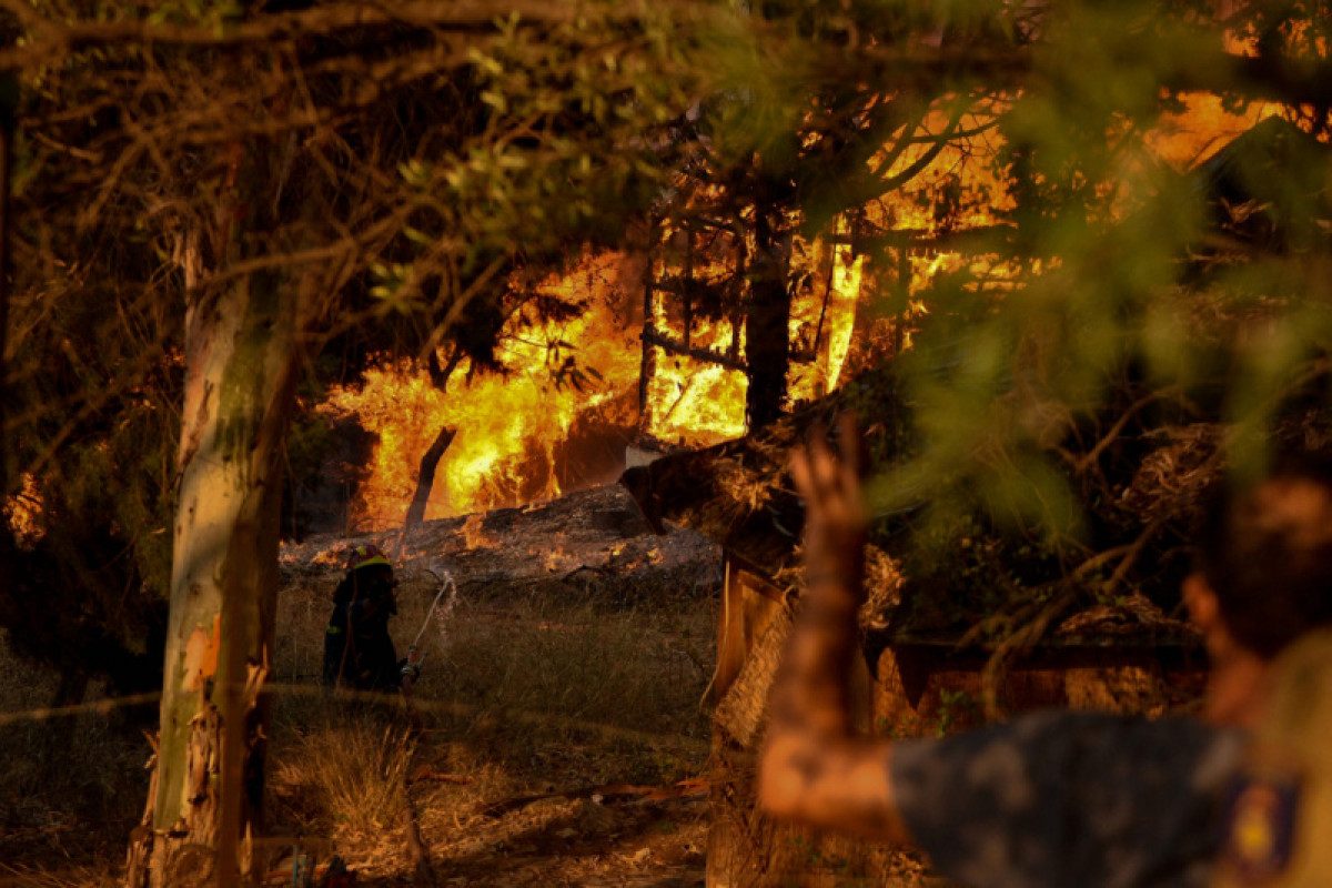 Террористы взяли ответственность за масштабные лесные пожары в Турции