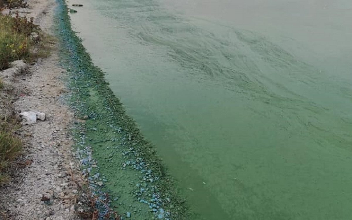 Невозможно купаться: экологи объяснили причины чрезвычайного загрязнения Южного Буга