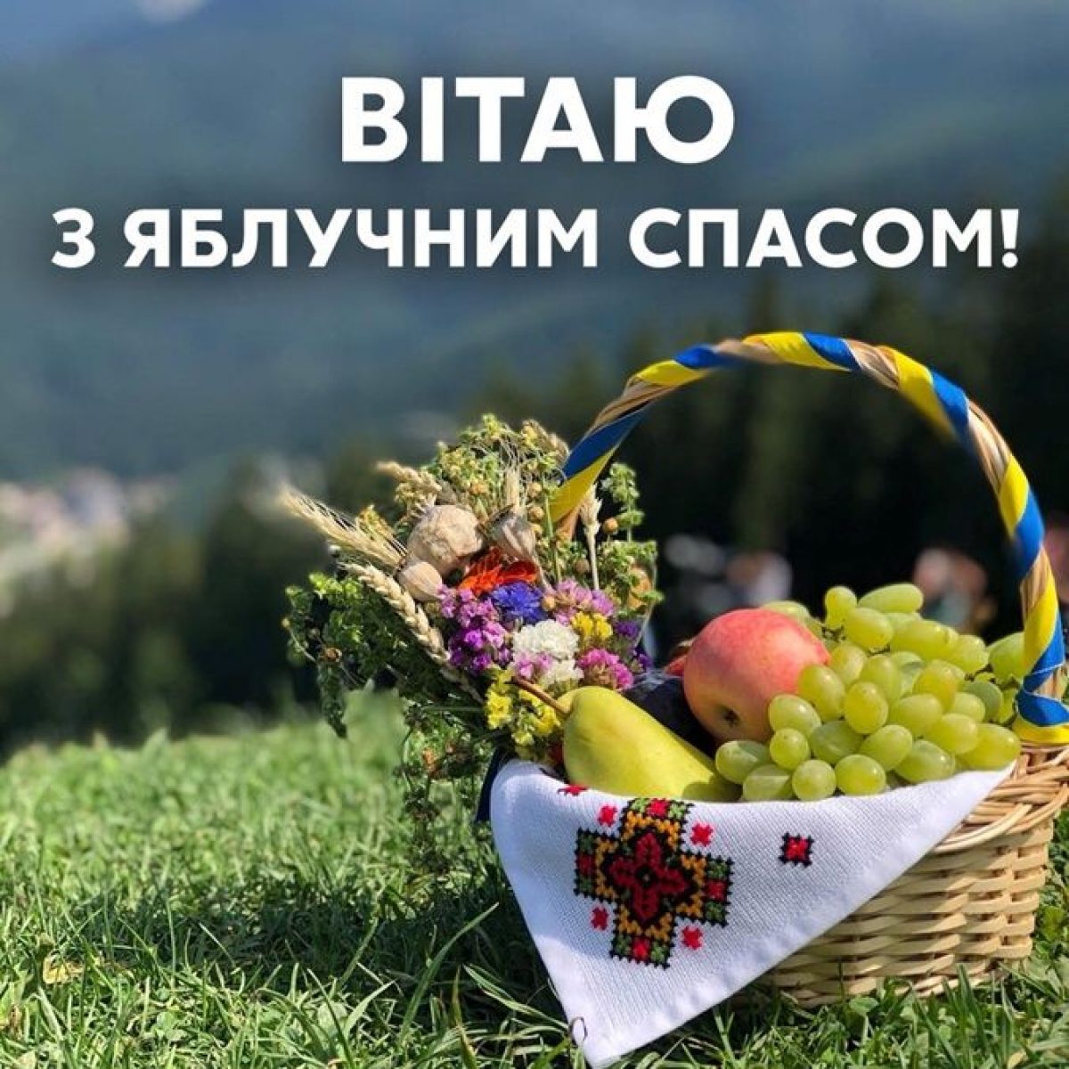 Вита спас