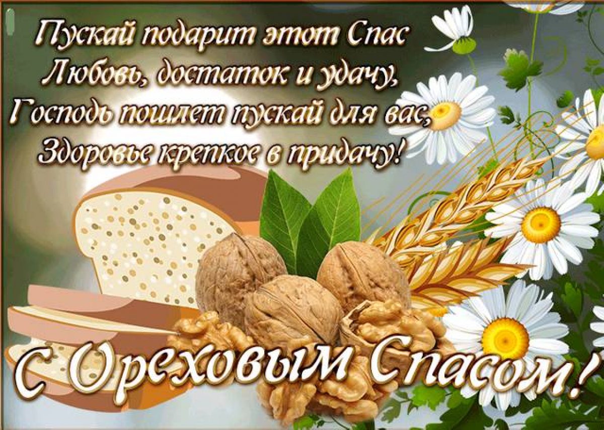 Вита спас