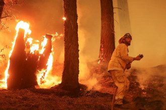лесной пожар в Калифорнии 
