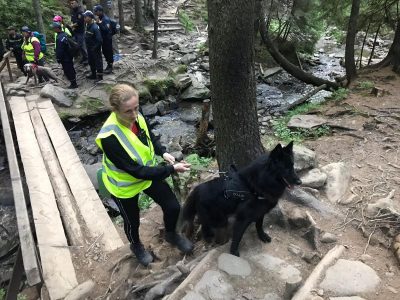 Пошуки зниклого на Говерлі 6-річного хлопчика: з'явилися несподівані свідчення очевидців Пошуки зниклого на Говерлі 6-річного хлопчика: з'явилися несподівані свідчення очевидців