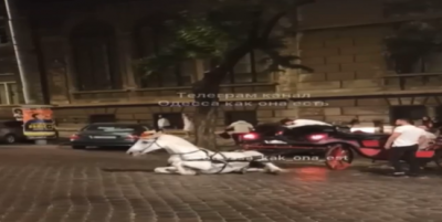 В Одесі кінь впав на бруківку: люди в обуренні, на господаря тварини склали адмінпротокол