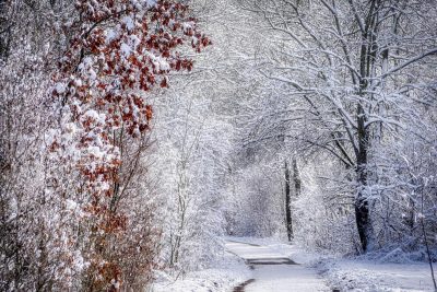 Погода Погода