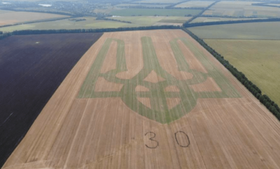 Найбільший живий герб України: вінницькі фермери здивували 'дизайном' поля і встановили рекорд
