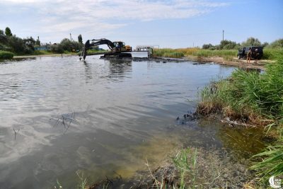 Экологи бьют тревогу: в Одесской области поверхность моря усеяна дохлой рыбой