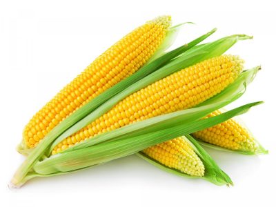 Кукурудза Кукурудза