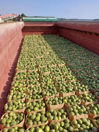 До Києва прибула баржа з кавунами: коли ягоди з'являться в супермаркетах