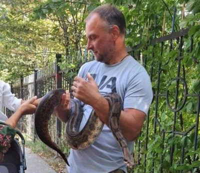 Антоша нашелся: сбежавшего в Киеве удава обнаружили прямо возле дома хозяйки