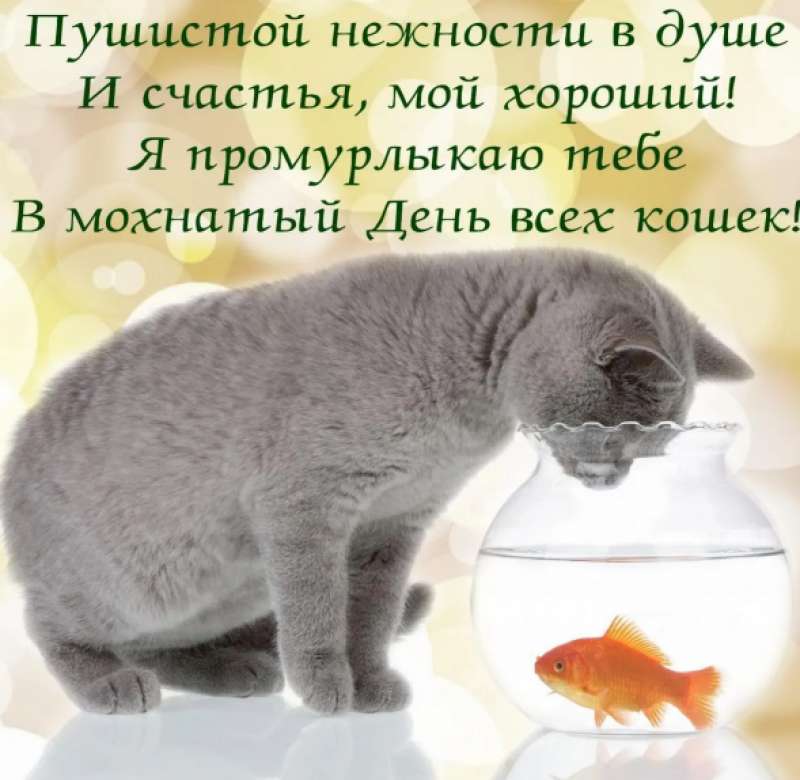 Открытки с синими котами Ирины Зенюк