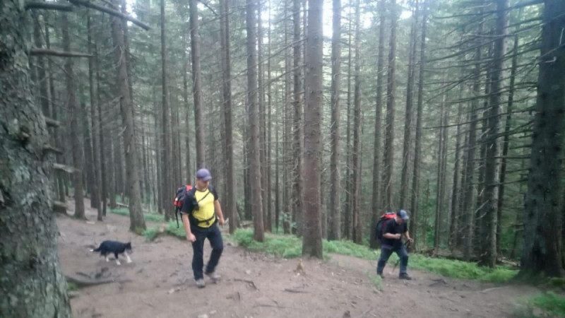 Відстав від групи: на Говерлі шукають шестирічного хлопчика