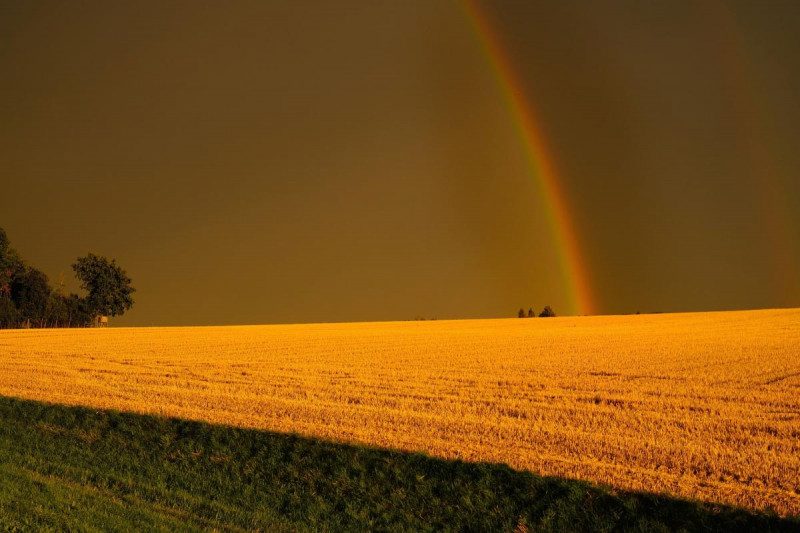 Небезпечна погода: в Україну мчить ураган і похолодання