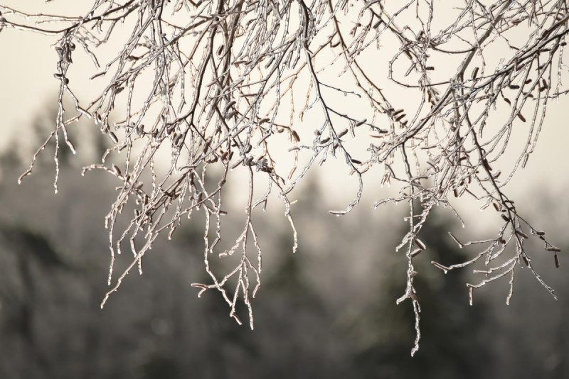 В Украине похолодает до +4: синоптики назвали дату
