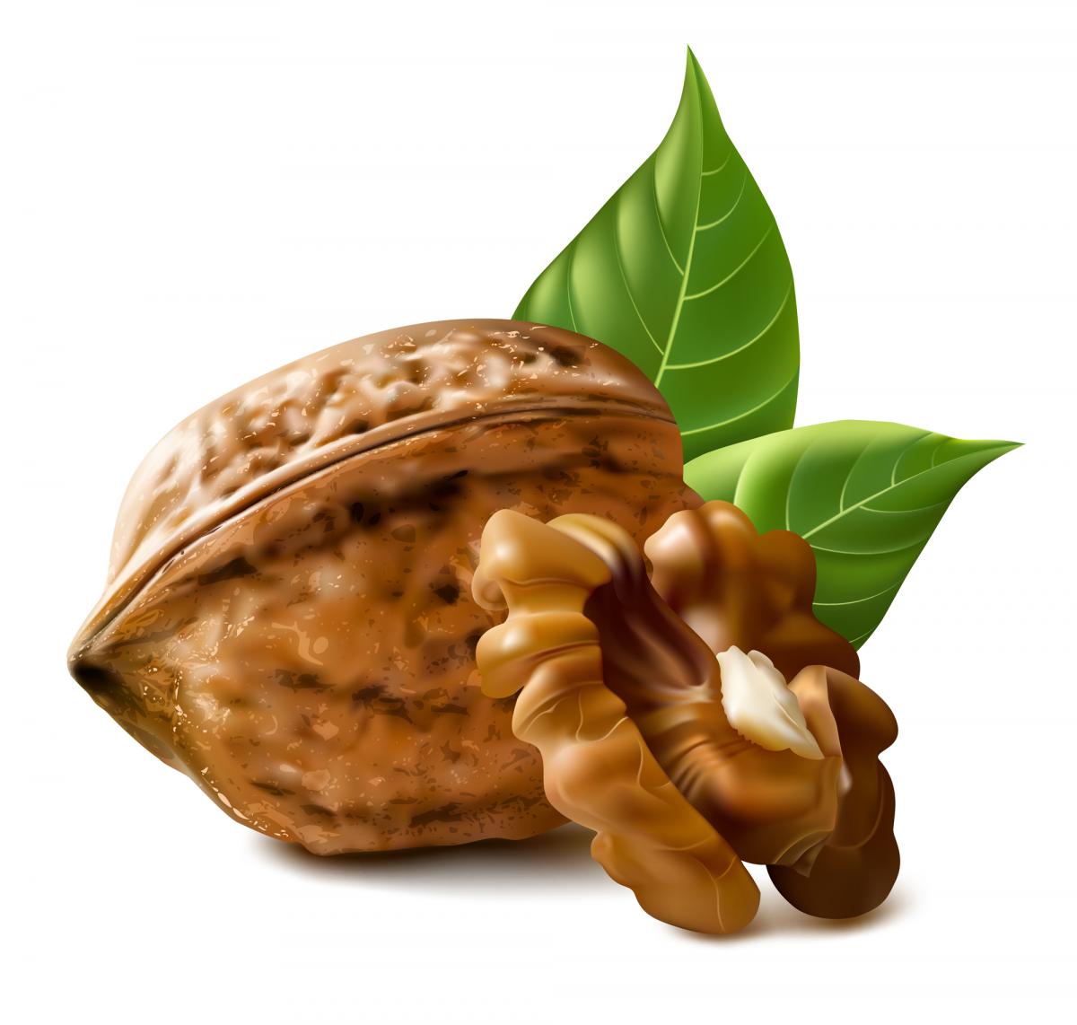 Какие лечебные свойства есть у грецких орехах - ответ медиков