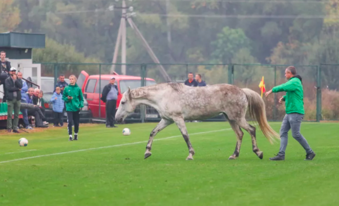 Матч збірних України та Італії серед глухих